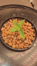 20240825_161817 (1).jpg