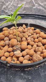 20240825_161825 (1).jpg