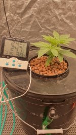 20240831_193646 (1).jpg