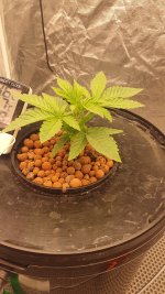 20240831_193652 (1).jpg