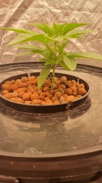 20240831_193907 (1).jpg