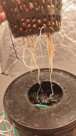 20240831_193918 (1).jpg