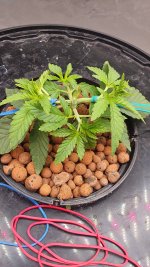 20240902_164039 (1).jpg