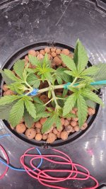 20240902_164054 (1).jpg