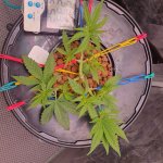 20240910_233513 (1).jpg