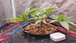 20240910_233526 (1).jpg