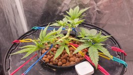 20240910_233529 (1).jpg