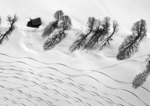 Laszlo-Toth-Winter-drawing-Finalist-in-the-Black-and-White-Photo-Awards-2024-400x284.jpeg