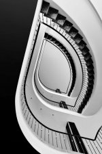 Staircase-shaping-a-leaf-by-Marina-Ciottariello-Architecture-Silver-Mention-in-the-Black-and-...jpeg