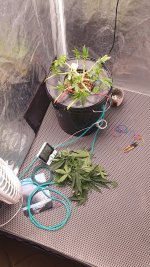 20240925_074931 (1).jpg