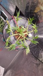 20240925_074950 (1).jpg