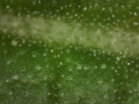 Photo_2024-10-05 17_43_41_418.JPG