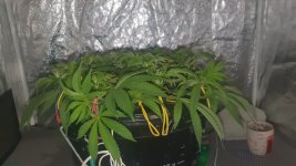 20241005_174035 (1).jpg