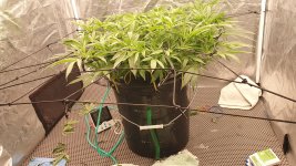 20241023_080142 (1).jpg