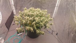 20241121_144037 (1).jpg