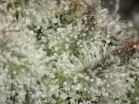 Photo_2024-11-21 14_49_59_055.JPG