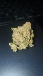 20241216_103416 (1).jpg