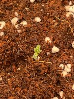 3 — копия.jpg