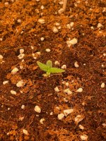 5 — копия.jpg