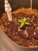 9 — копия.jpg