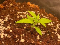 14 — копия.jpg