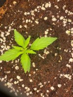 15 — копия.jpg