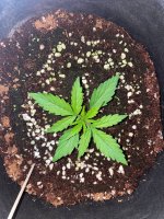 16 — копия.jpg