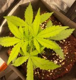 20 — копия.jpg