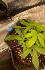 22 — копия.jpg