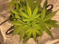 26 — копия.jpg