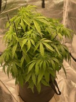 31 — копия.jpg