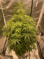 41 — копия.jpg