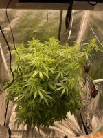 43 — копия.jpg