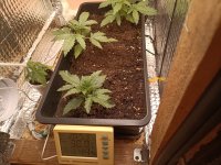 IMG_20250109_205437 (Копировать).jpg