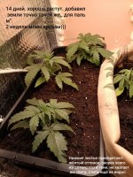 IMG_20250111_123304 (Копировать).jpg