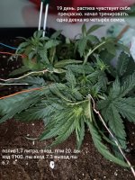 IMG_20250116_182645 (Копировать).jpg