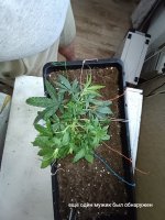 IMG_20250116_182853 (Копировать).jpg