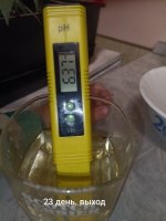 IMG_20250120_203121 (Копировать).jpg