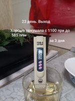 IMG_20250120_203932 (Копировать).jpg