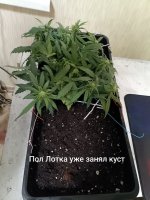 IMG_20250124_141909 (Копировать).jpg