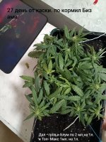 IMG_20250125_204518 (Копировать).jpg