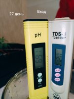 IMG_20250125_204656 (Копировать).jpg