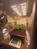 IMG_20250127_124726 (Копировать).jpg