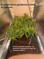 IMG_20250127_215930 (Копировать).jpg