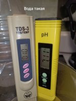 IMG_20250128_134801 (Копировать).jpg