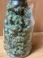 photo_2025-03-05_20-56-12 — копия.jpg