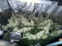 photo_2025-03-05_20-56-36 — копия.jpg