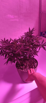 Изображение 29.04.2025 1836 (1).png