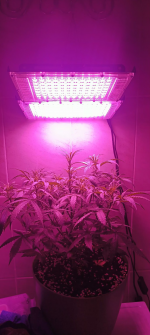 Изображение 29.04.2025 1836 (2).png