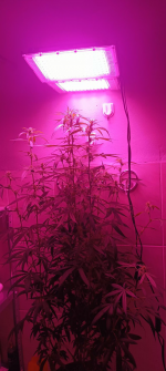 Изображение 29.04.2025 1836 (3).png